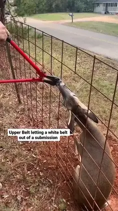 Featured post 1