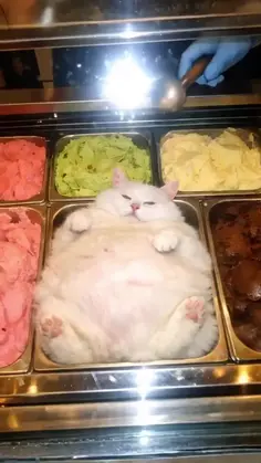 Featured funny content