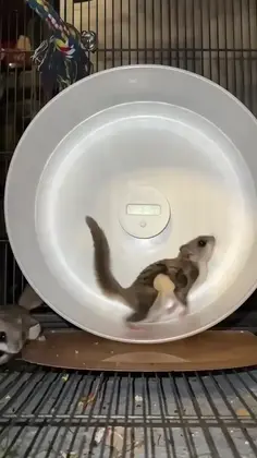 Featured funny content