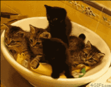 Featured post 8