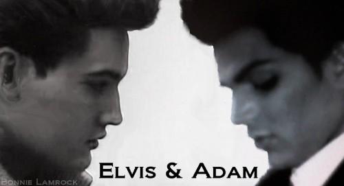 luv this one and both of them