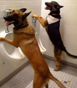 Urinal talk