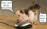 Concerned Mice