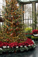 Tinsel and Garland
