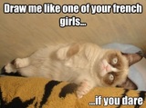 Draw Sexy Grumpy Cat Like One of Your French Girls