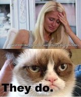 Grumpy Cat on Paris Hilton