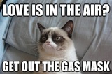 Grumpy Cat Love is in the Air