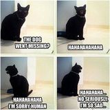 Featured post 1