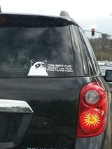 Grumpy Cat Bumper Sticker