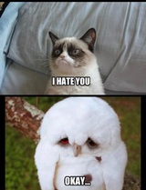 Grumpy Cat Hates Sad Owl