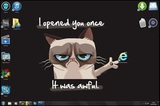 Grumpy Cat Internet Explorer Computer Wallpaper
