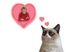 Grumpy Cat Daydream Love of Grumpy Grandma
