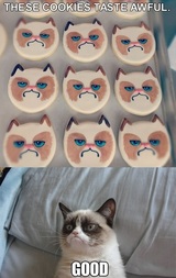 Grumpy Cat Cookies Taste Awful Good
