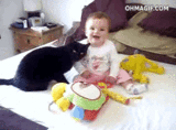 Cat Making The Baby Pose For The Picture