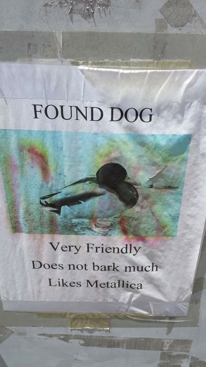 I Don't Think That's A Dog - Funny - Faxo