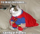 Here Comes The Super Cat To The Rescue