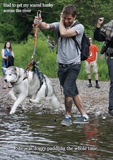 Dog Crosses The River