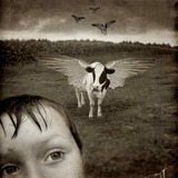 Featured post 7