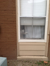 Enter At Your Own Risk Mate Meowwww