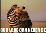 Romeo And Juliet In Animal Kingdom