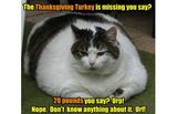 The Puzzle Of The Missing Turkey