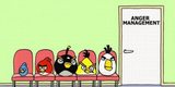 Anger Management Is Highly Needed Here