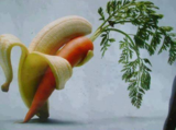 BANANA AND CARROTS MAKE A GREAT COUPLE