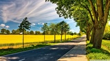 Late Summer Landscape