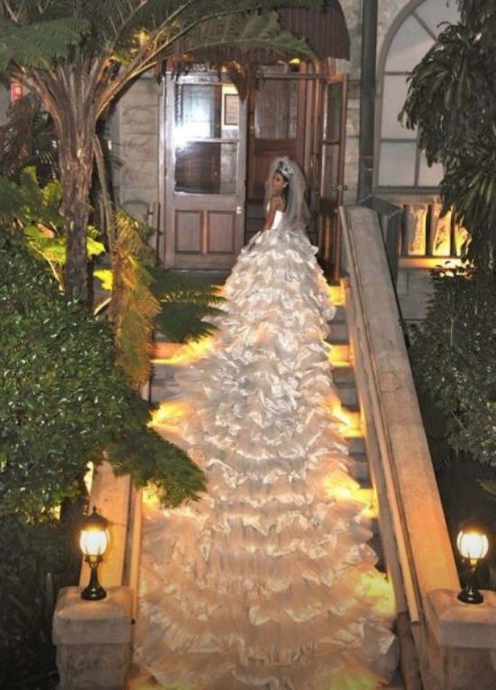 Longest Wedding Dress Train Ever Looks Like a White 