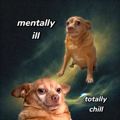 Mentally Ill vs Totally Chill