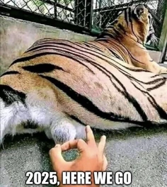 Featured post 1