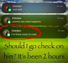 Did The Chicken Cross The Road?!? 🐔
