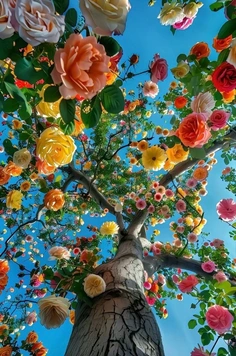 Featured post 1