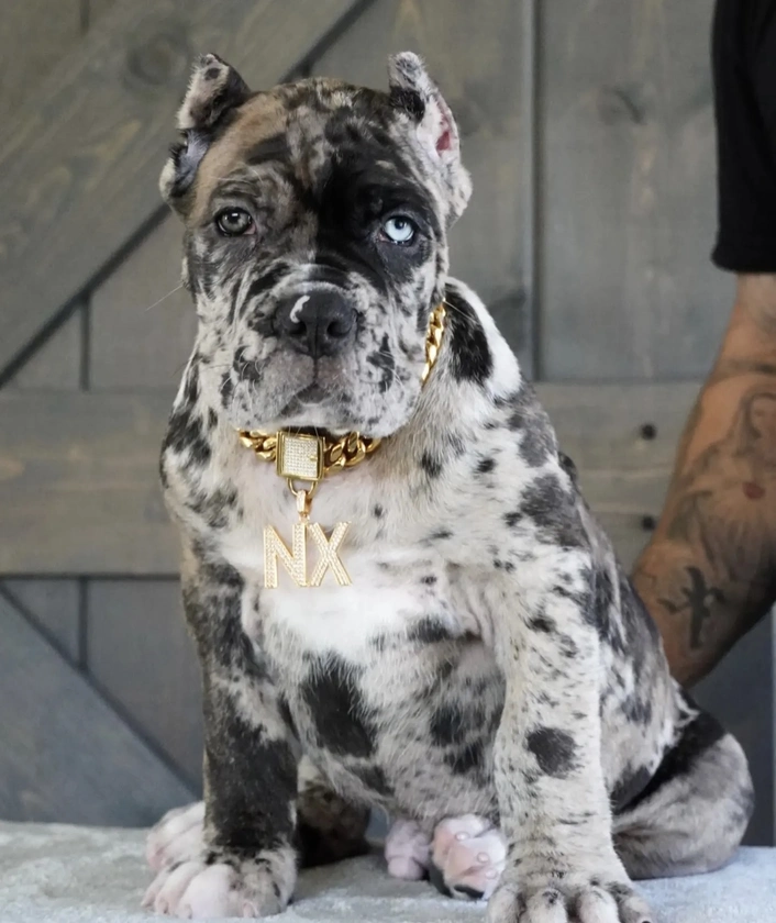 Washer and dryer thumbnail 1