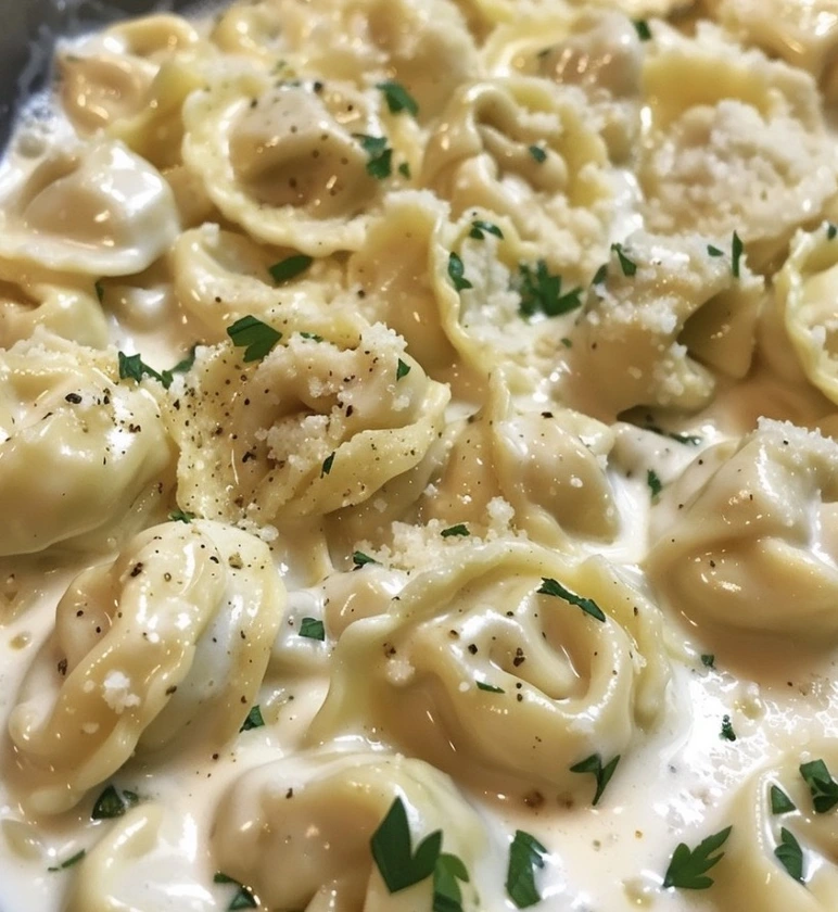 Velvety Parmesan Cheese Tortellini Pasta in Garlic Cream Sauce
