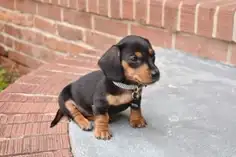 Featured post 1