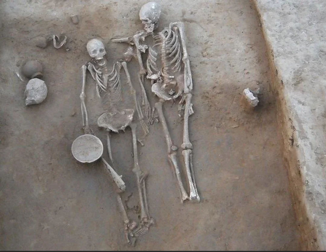 The 4,625-year-old grave from Rakhigarhi, dated to around 2600 BCE ...