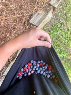 I may not be yacht rich, but I am shirt-full of garden berries rich.