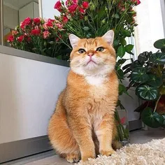 Featured post 1
