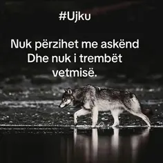 Featured post 1