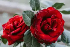 Nature is beautiful ❤️