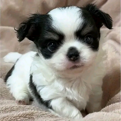 Featured post 3
