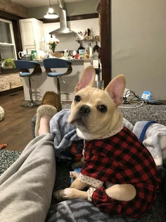 Featured post 1