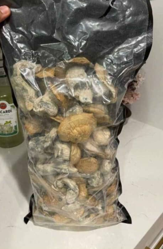 mushrooms 🍄 and chocolate bars 🍫 - $50 thumbnail 2