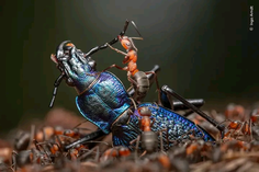 Featured post 1
