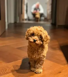 Featured post 1