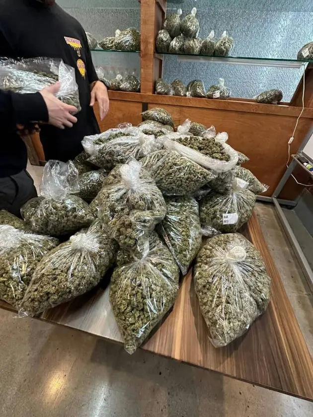 mushroom - $10 thumbnail 2