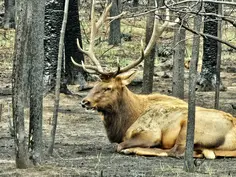 Featured post 8