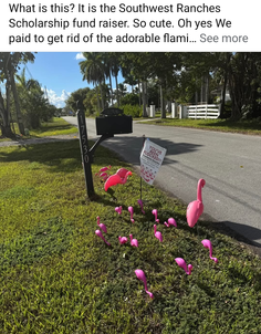 Featured post 1