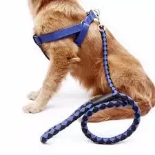 all you need for your pet thumbnail 3